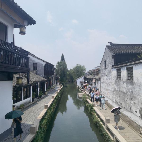 探索知识星球平台蛋白质营养对狗狗有什么作用?,解锁无限智慧之门