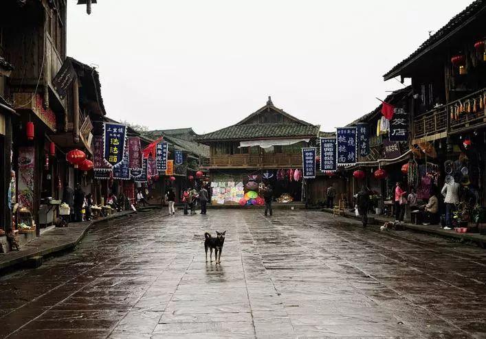 燃烧吧大脑免广告最新版